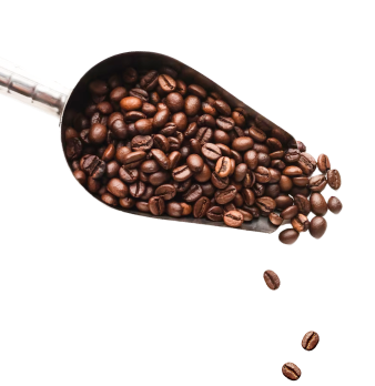 Falling beans image